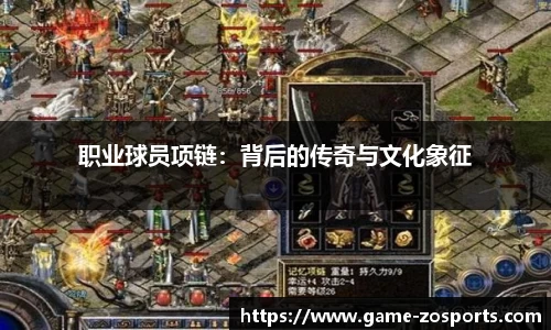 中欧体育