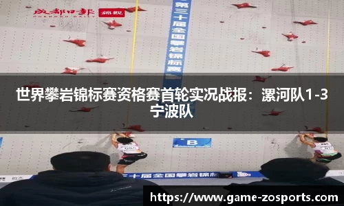 中欧体育公司